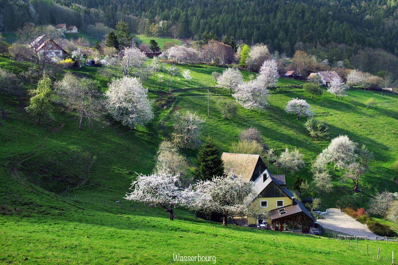 Chalet Du Silberrain Pres De Colmar - Cheminee, Sauna, Piscine Partagee Osenbach ภายนอก รูปภาพ