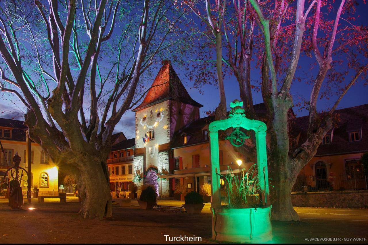 Chalet Du Silberrain Pres De Colmar - Cheminee, Sauna, Piscine Partagee Osenbach ภายนอก รูปภาพ