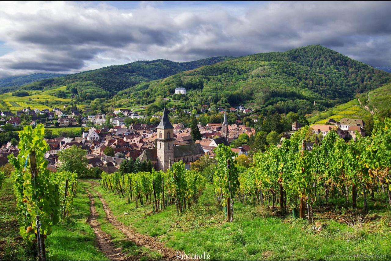 Chalet Du Silberrain Pres De Colmar - Cheminee, Sauna, Piscine Partagee Osenbach ภายนอก รูปภาพ