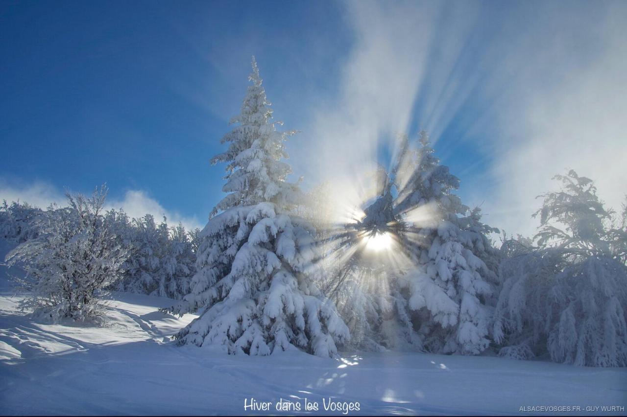 Chalet Du Silberrain Pres De Colmar - Cheminee, Sauna, Piscine Partagee Osenbach ภายนอก รูปภาพ