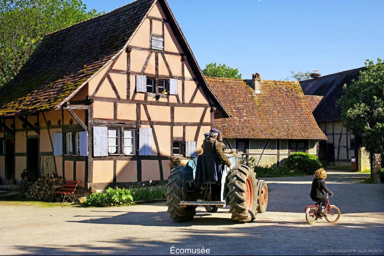 Chalet Du Silberrain Pres De Colmar - Cheminee, Sauna, Piscine Partagee Osenbach ภายนอก รูปภาพ