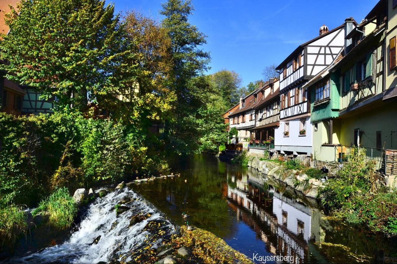 Chalet Du Silberrain Pres De Colmar - Cheminee, Sauna, Piscine Partagee Osenbach ภายนอก รูปภาพ